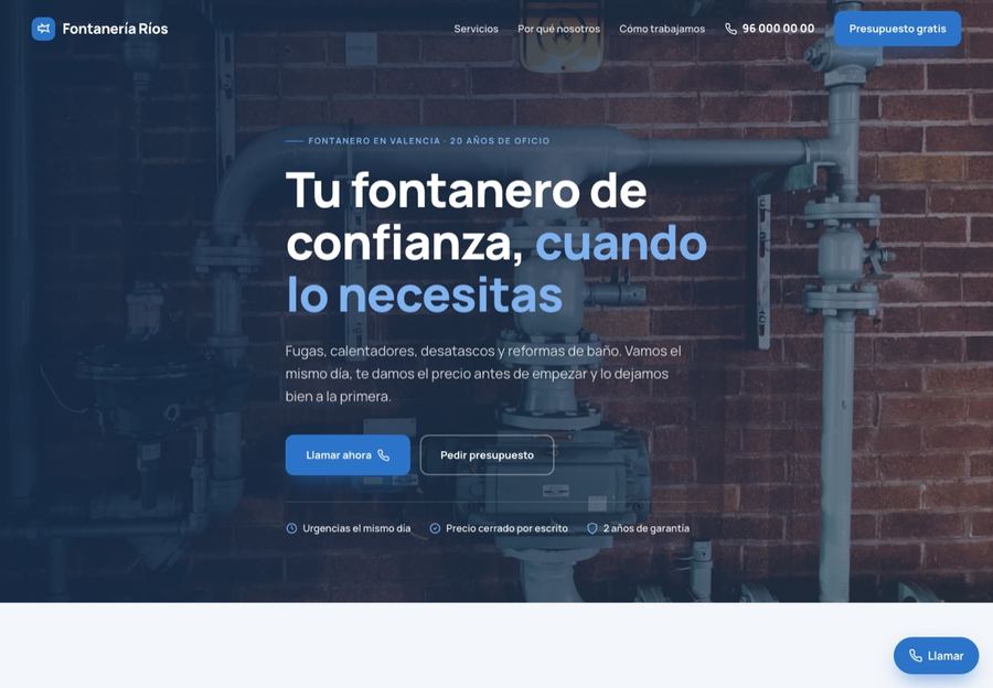 Professional plumber website